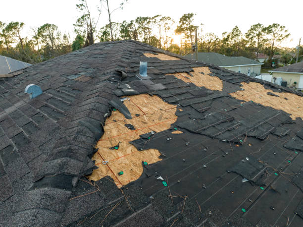 Best Steel Roofing  in West Lafayette, OH